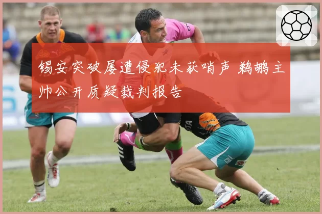 锡安突破屡遭侵犯未获哨声 鹈鹕主帅公开质疑裁判报告