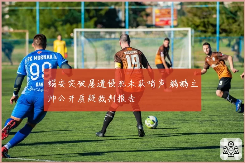 锡安突破屡遭侵犯未获哨声 鹈鹕主帅公开质疑裁判报告