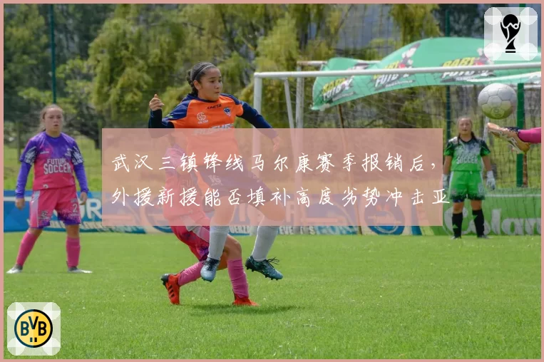 武汉三镇锋线马尔康赛季报销后，外援新援能否填补高度劣势冲击亚冠？